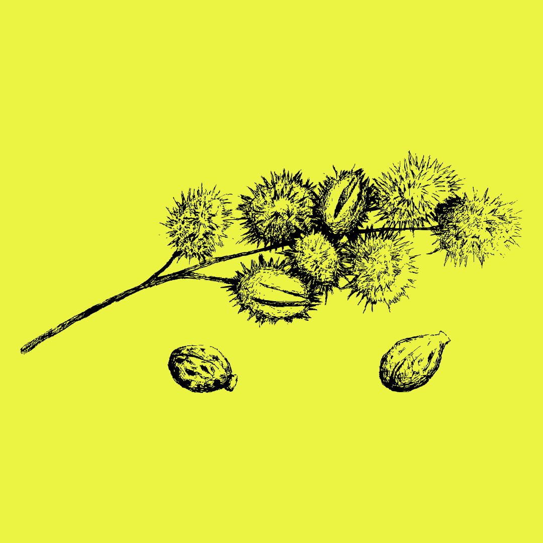 Alt Image