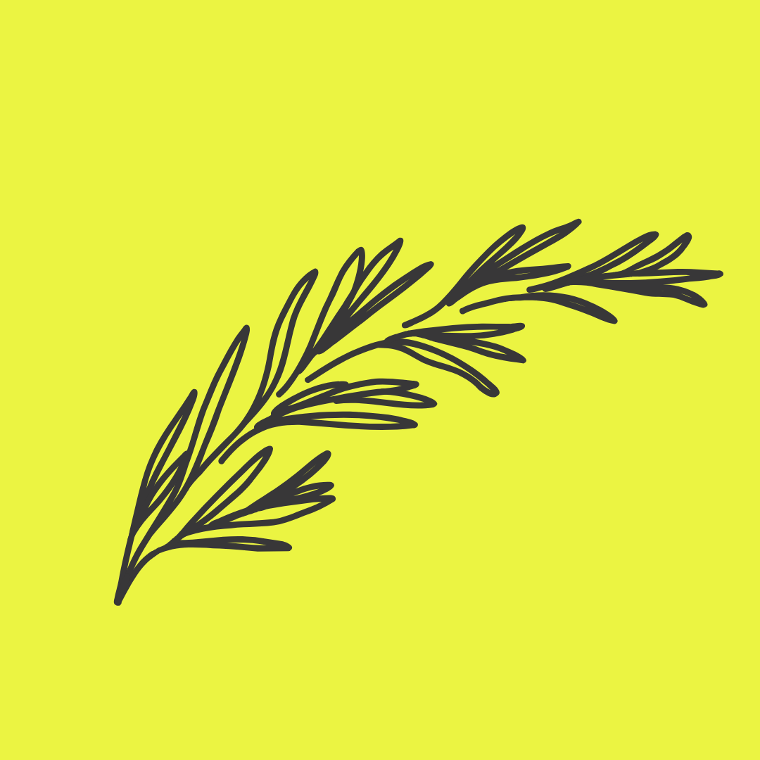 Alt Image