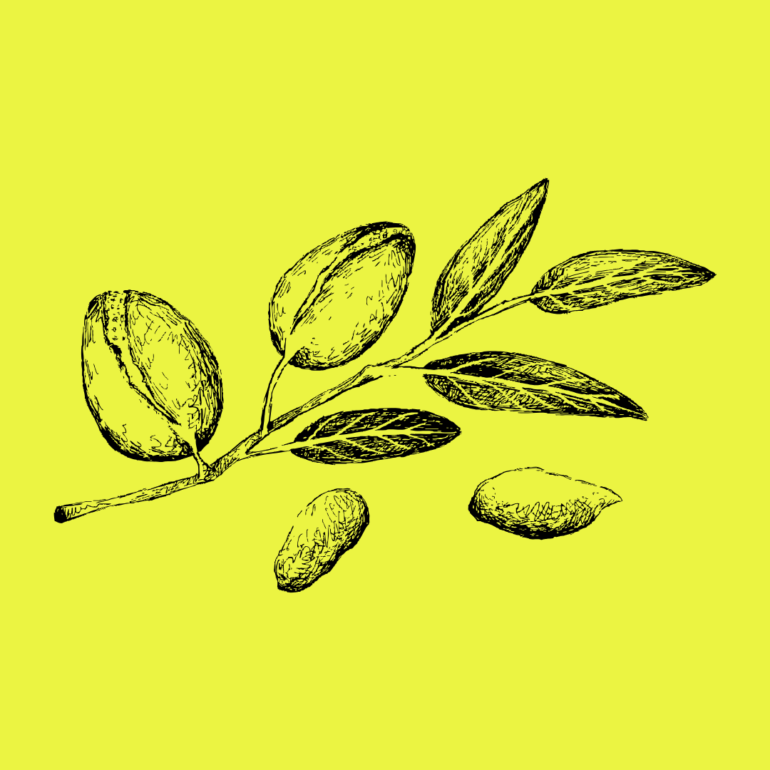Alt Image